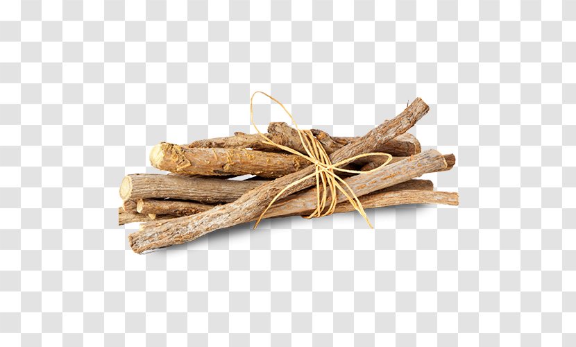 Cinnamon Stick Ginseng Plant Herb - Food Chinese Transparent PNG