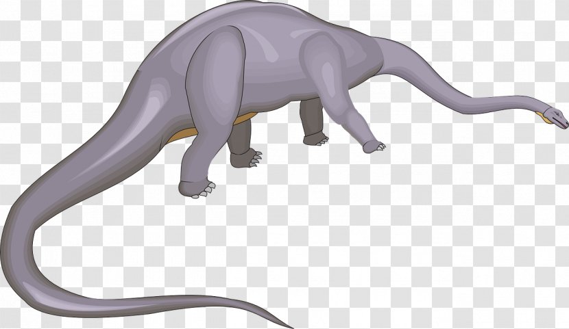 Diplodocus Dinosaur Clip Art - Tail Transparent PNG