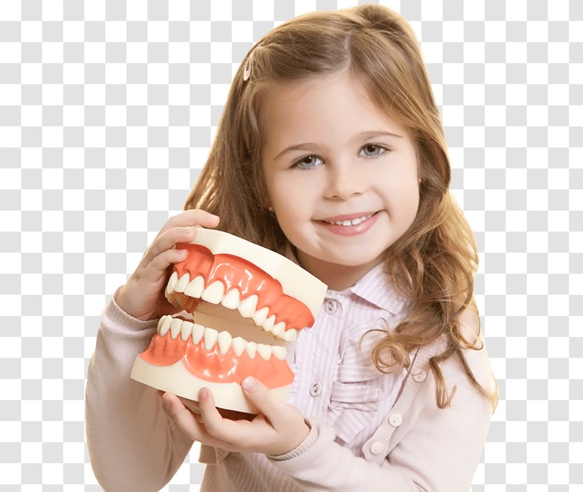 Dentistry Tooth Dental Surgery Tourism - Fast Food - Patient Transparent PNG