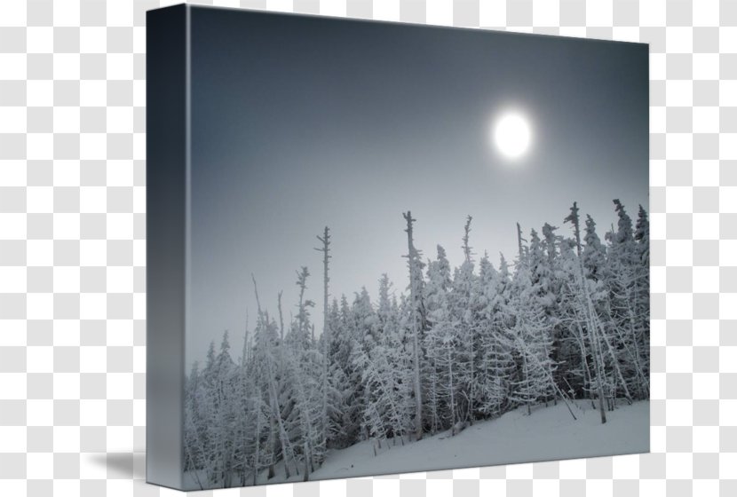 Desktop Wallpaper Winter Computer Sky Plc - Black And White Transparent PNG