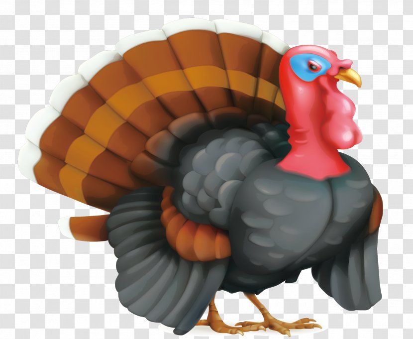 Turkey Meat Cartoon Royalty-free - Flightless Bird - Peacock Vector Material Transparent PNG