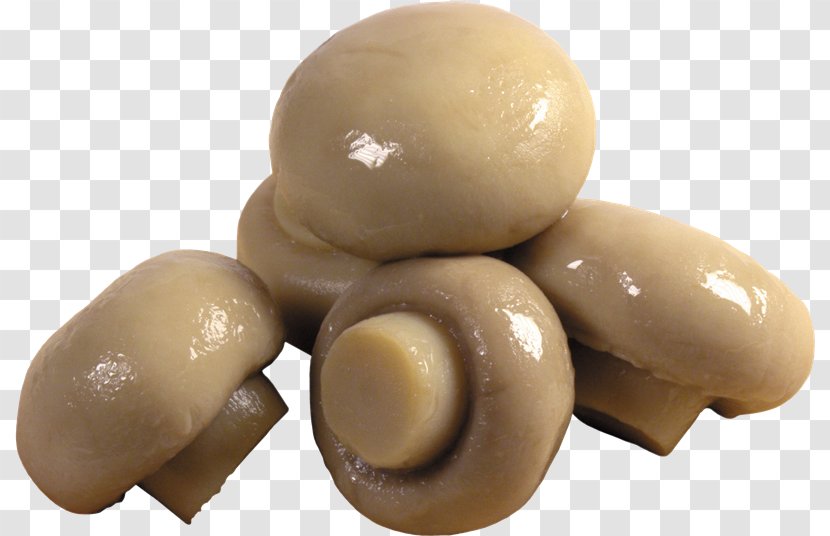 Common Mushroom Edible Food - Fungus Transparent PNG