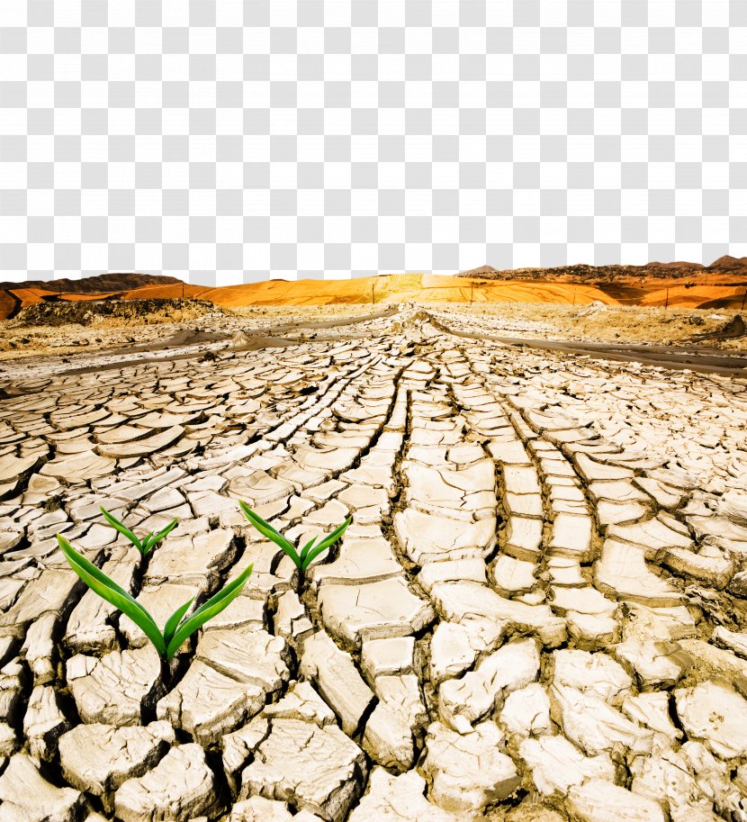 World Day To Combat Desertification And Drought Drylands - Water - Severe Shortage Transparent PNG