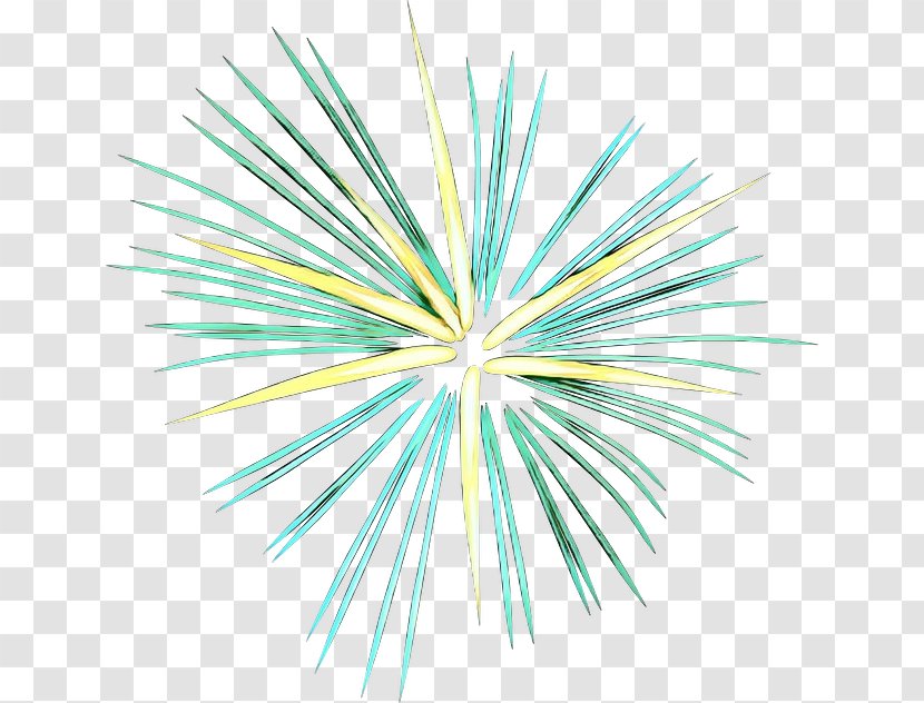 Independence Day Drawing - Green - Plant Symmetry Transparent PNG