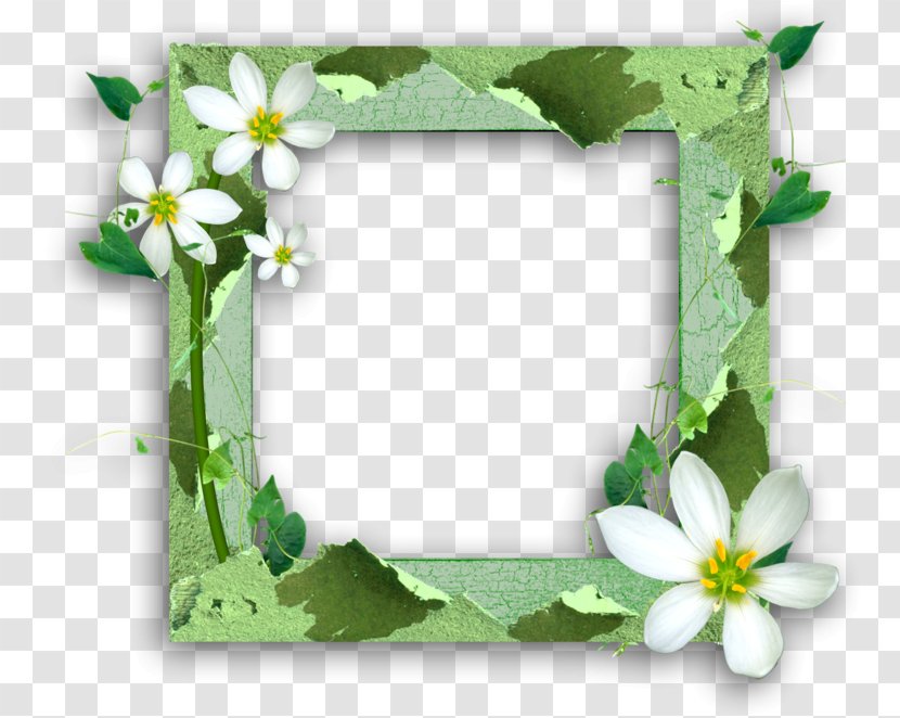 Picture Frames Photography Image Paper - Flower - Frame Green Transparent PNG