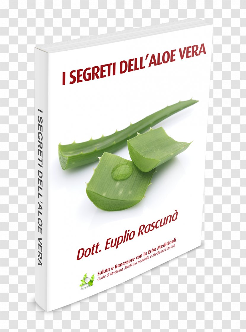 Medicinal Plants Aloe Vera Brand - Verra Transparent PNG
