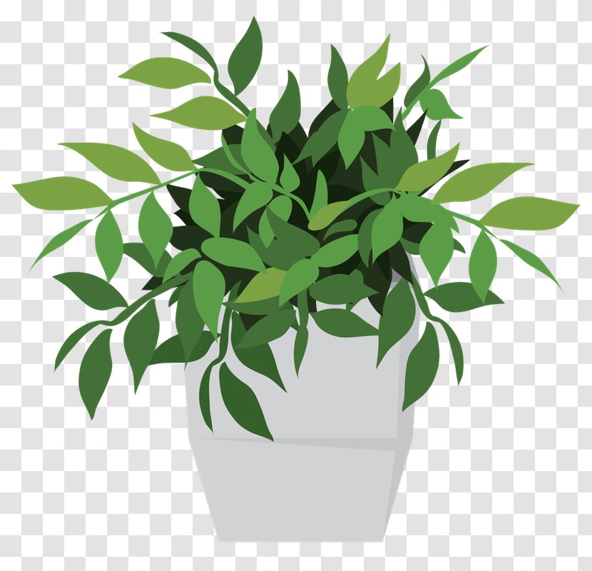 Flowerpot Houseplant Potting Soil Chlorophyll - Flower - Plant Transparent PNG