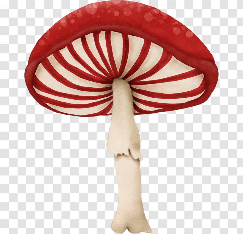 Mushroom Fungus Red Clip Art - Color - Wonderland Transparent PNG