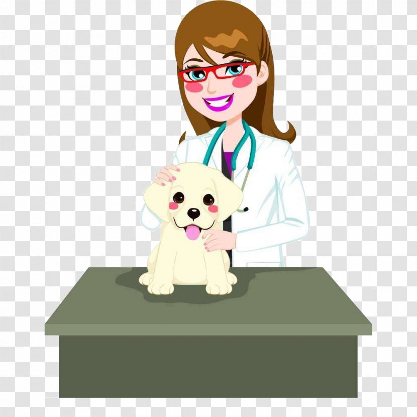 Dog Cat Veterinarian Photography Illustration - Can Stock Photo - Cartoon Pet Doctor And Transparent PNG