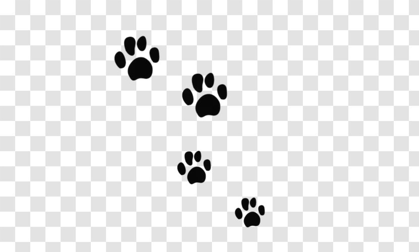 Paw Maine Coon Veterinarian Clip Art - Dog Transparent PNG