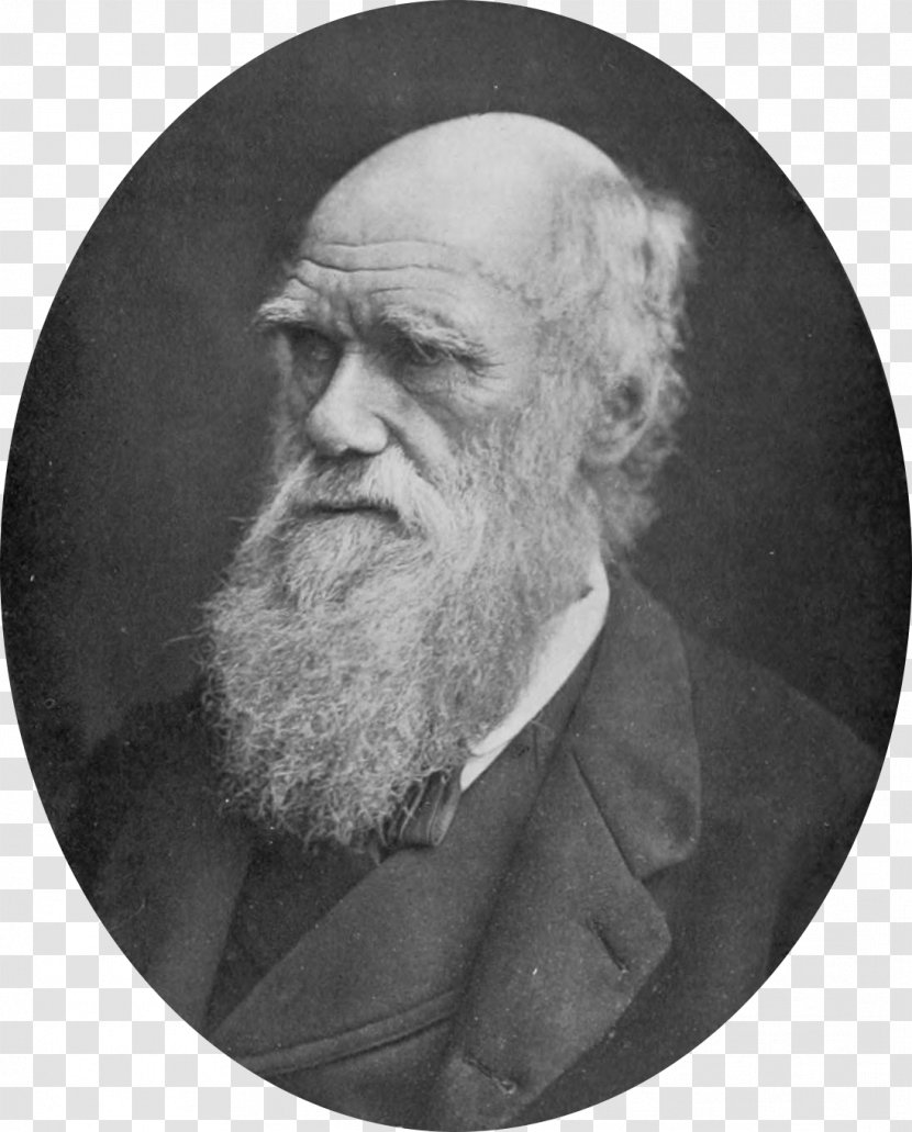 Charles Darwin On The Origin Of Species Voyage Beagle Evolution Scientist - Andrews Transparent PNG