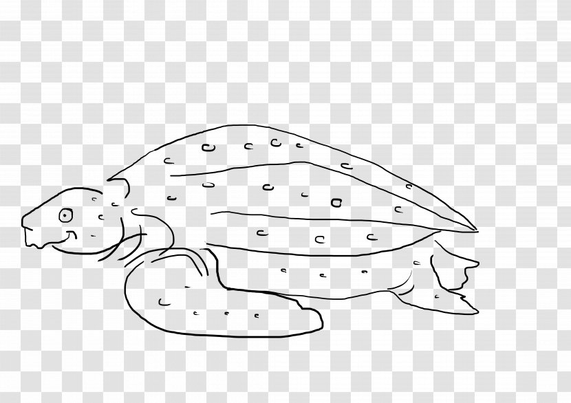 Line Art /m/02csf Marine Mammal Drawing White - Headgear - Tortue Transparent PNG