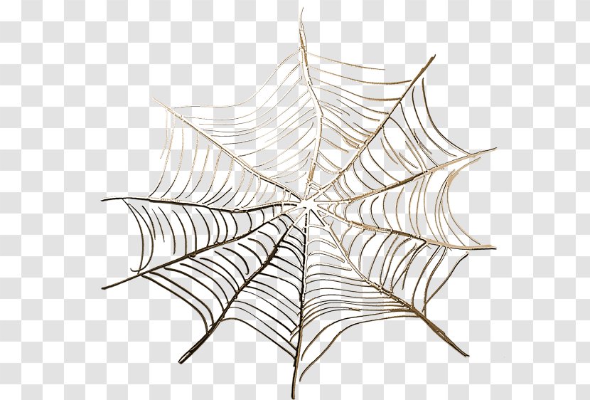 Spider Web Euclidean Vector Icon - Synthetic Transparent PNG