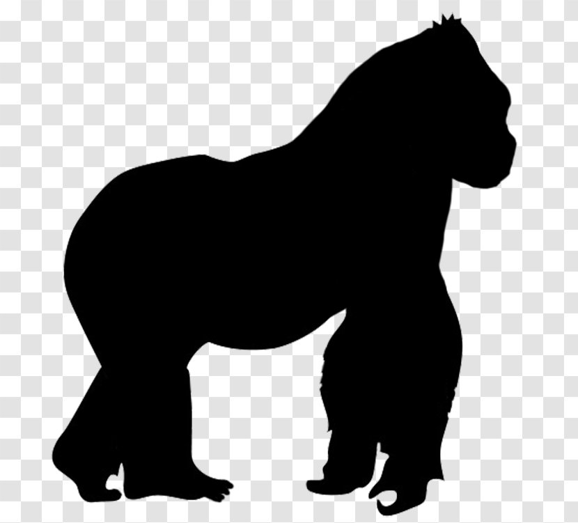 Gorilla Silhouette Clip Art - Mammal - Ferret Transparent PNG