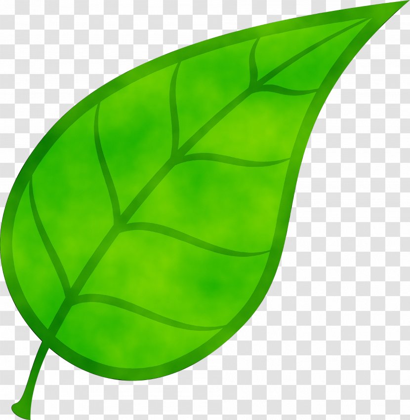 Leaf Cosmogenic Nuclide Stable Stoma Product Design - Ty Lee Transparent PNG