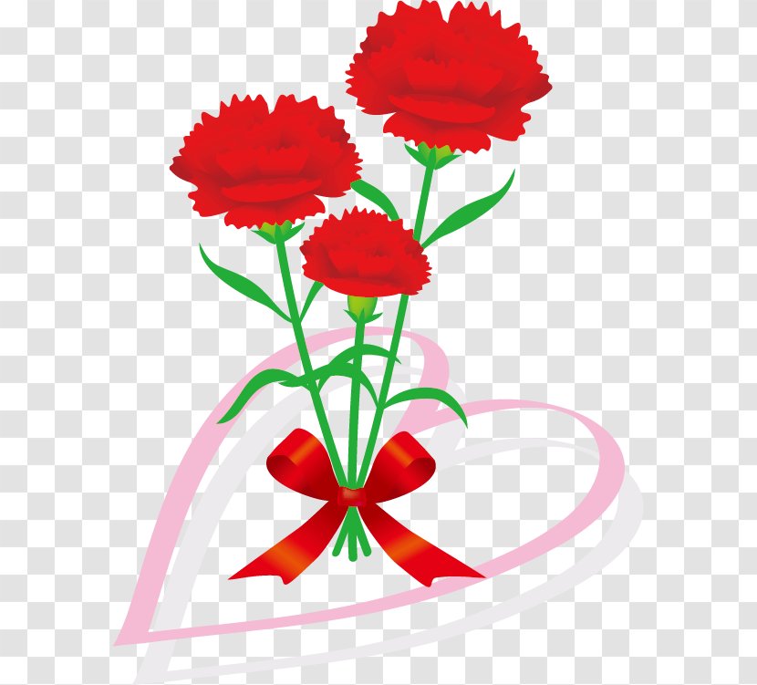 Floral Design Carnation Art Mother's Day - Flowering Plant Transparent PNG