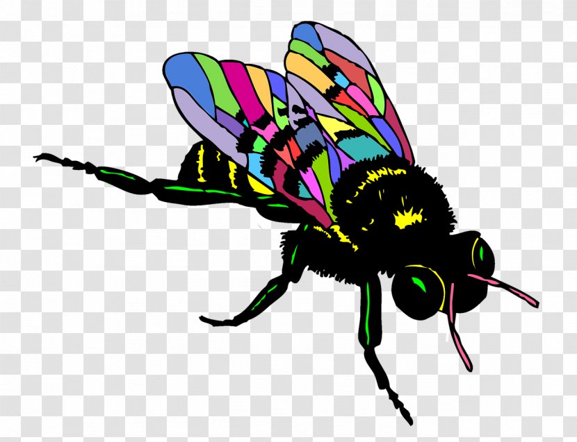 European Dark Bee Black And White Drawing Clip Art - Beehive - Insect Transparent PNG