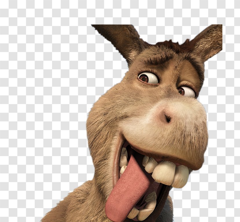 Donkey Shrek Film Series YouTube Transparent PNG