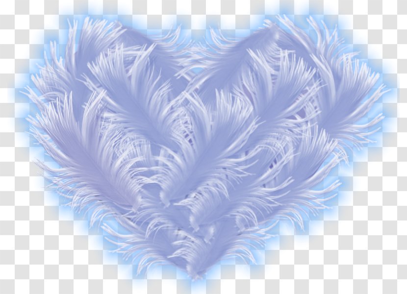 Feather Desktop Wallpaper Blue - Petal Transparent PNG
