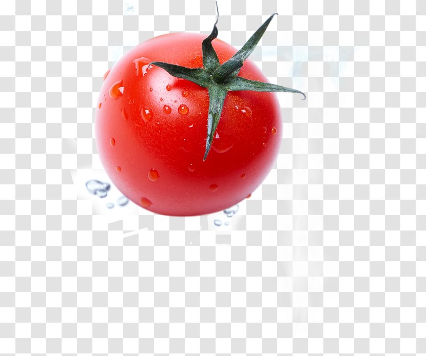 Plum Tomato Auglis Vegetable Food - Nightshade Family Transparent PNG