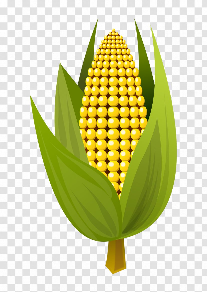 Corn On The Cob Maize Clip Art - Corncob Transparent PNG