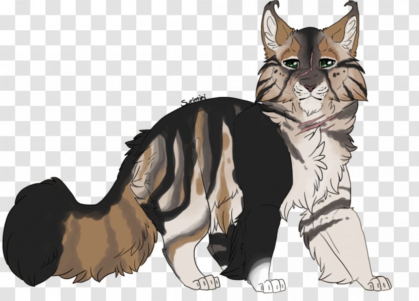 Whiskers Kitten Wildcat Canidae - Big Cats Transparent PNG