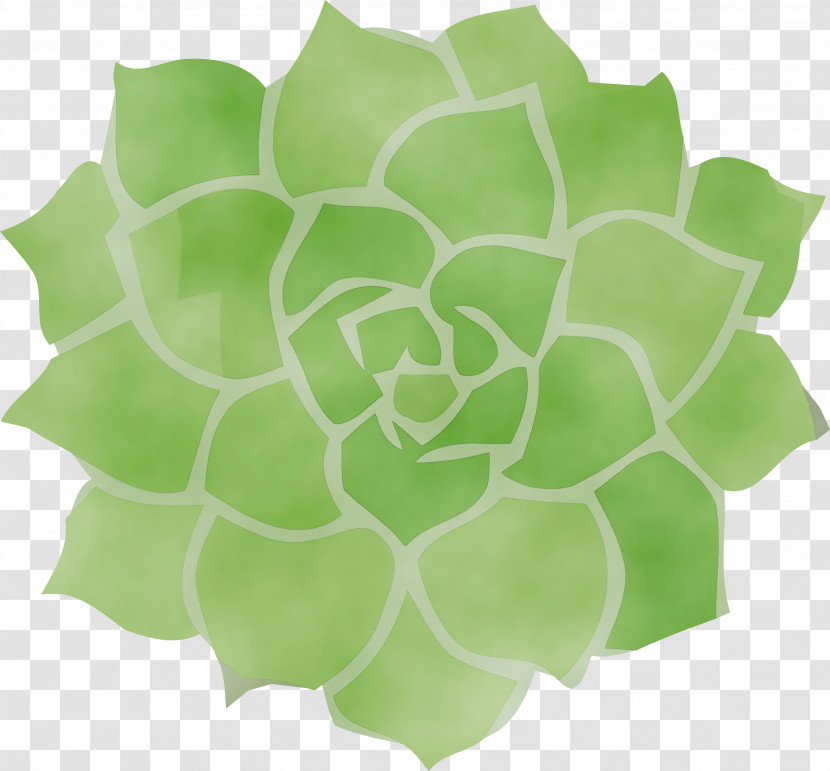 Green Transparent PNG