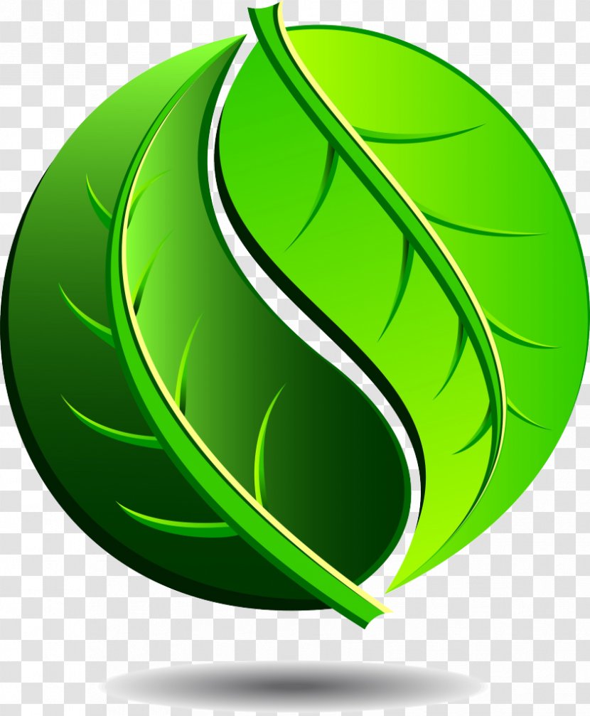 Logo Yin And Yang - Plant - Hypnose Transparent PNG