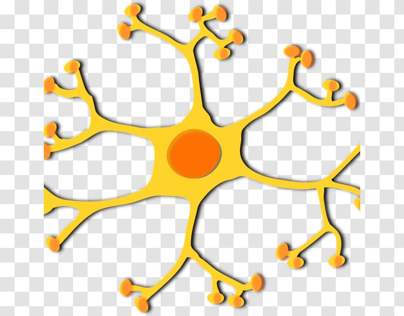 Motor Neuron Clip Art Vector Graphics Nervous System - Interneuron - Nerve Transparent PNG