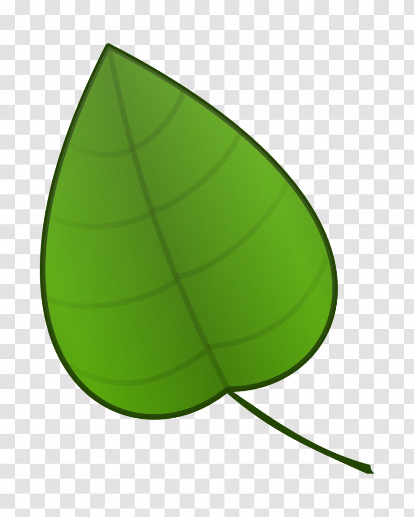 Leaf Cartoon Animation Clip Art - Drawing - Green Transparent PNG