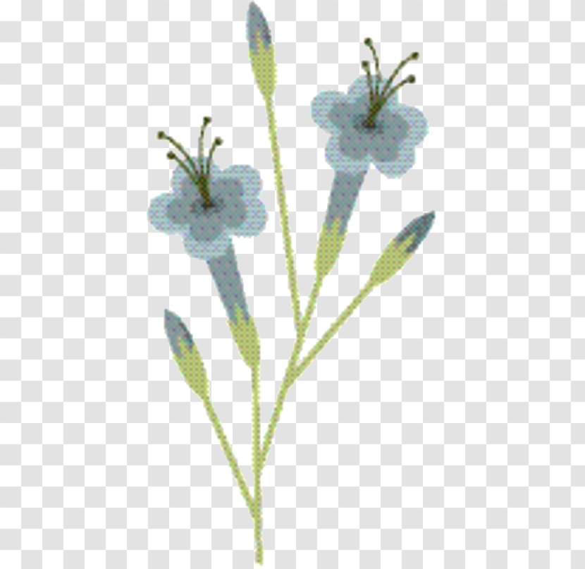 Pink Flower Cartoon - Plant Stem - Family Bellflower Transparent PNG