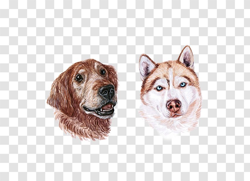 Puppy Dog Breed Watercolor Painting - Carnivoran Transparent PNG