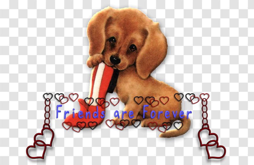 Puppy Beagle Animaatio Companion Dog Breed Transparent PNG