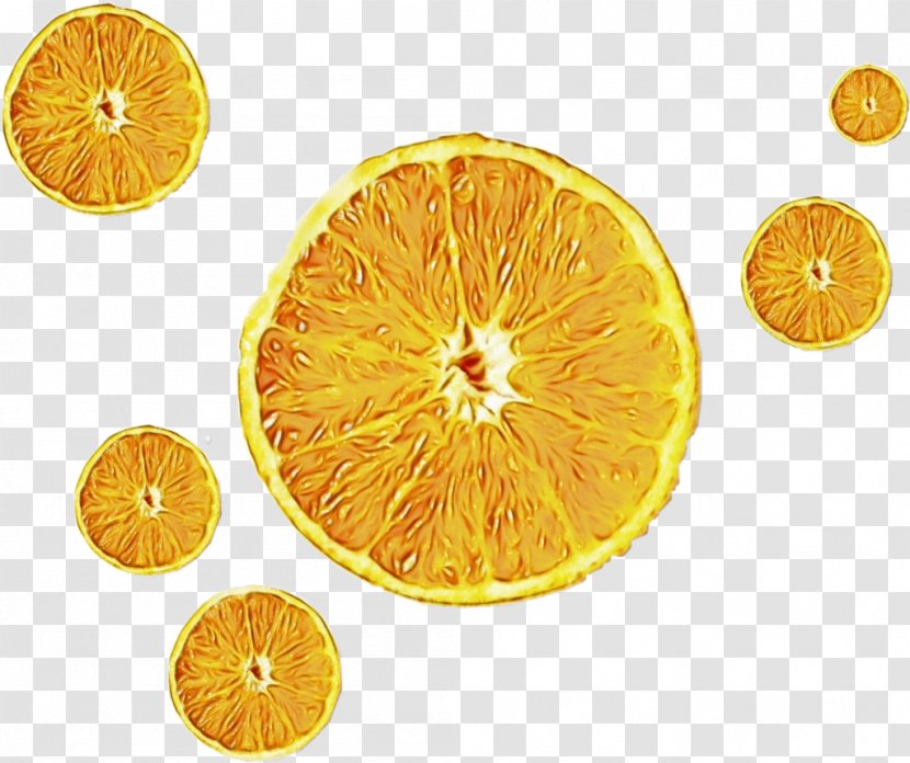 Lemon - Citron - Calamondin Grapefruit Transparent PNG