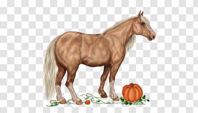American Paint Horse Mustang French Trotter Howrse Akhal-Teke - Mare - Cartoon Modeling Pumpkin Decorating Transparent PNG