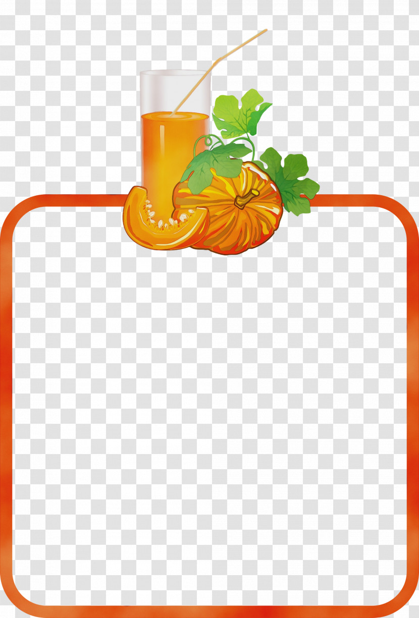 Orange Transparent PNG