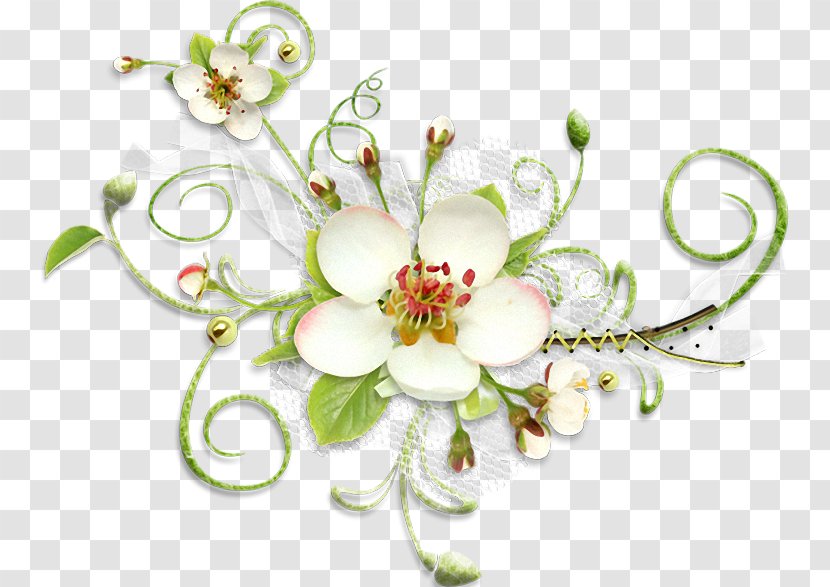 Floral Design Flower Desktop Wallpaper Clip Art Transparent PNG