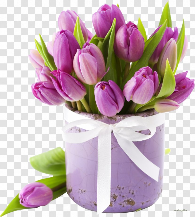Flower Bouquet Tulip Cut Flowers Wedding - Purple - Box Transparent PNG