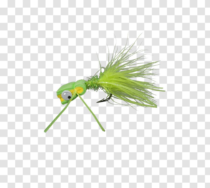 Yellow Fly Chartreuse Black Scientist - 2017 Mini Cooper Transparent PNG