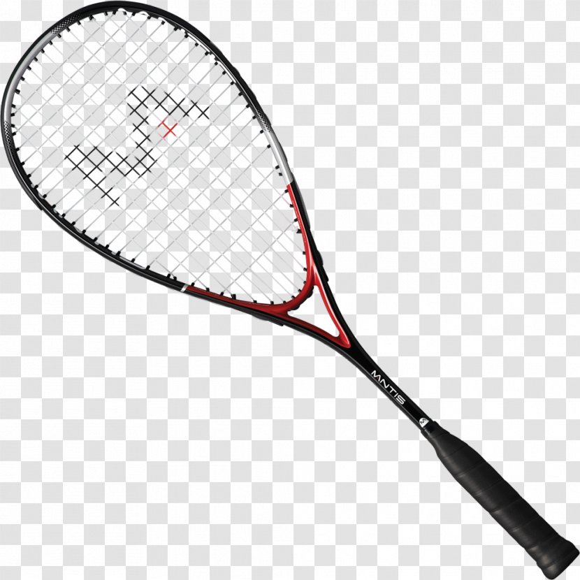 Racket Squash Tecnifibre Sport Strings - Tennis Transparent PNG