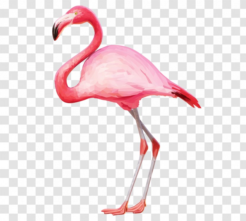 Flamingo Clip Art - Beak Transparent PNG