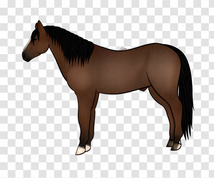 Mane Mustang Stallion Foal Mare - Neck Transparent PNG