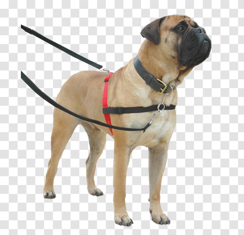 Dog Collar Harness Leash Halter - Webbing Transparent PNG