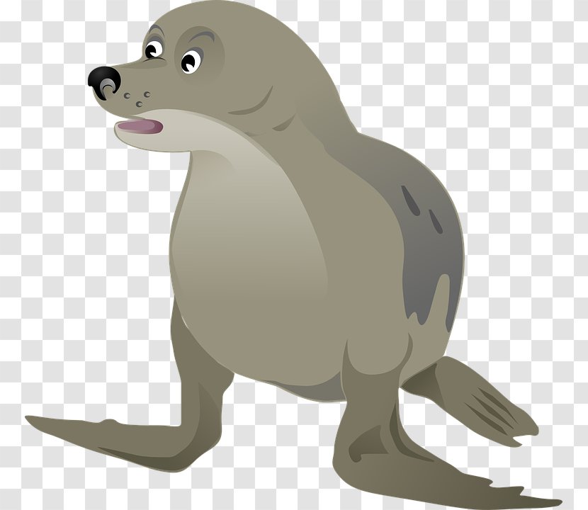 Sea Lion Walrus Das Walross Pinniped Clip Art - Cuteness Transparent PNG