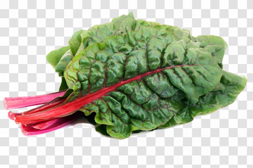 Romaine Lettuce Chard Spinach Vegetable Collard Greens - Food Transparent PNG