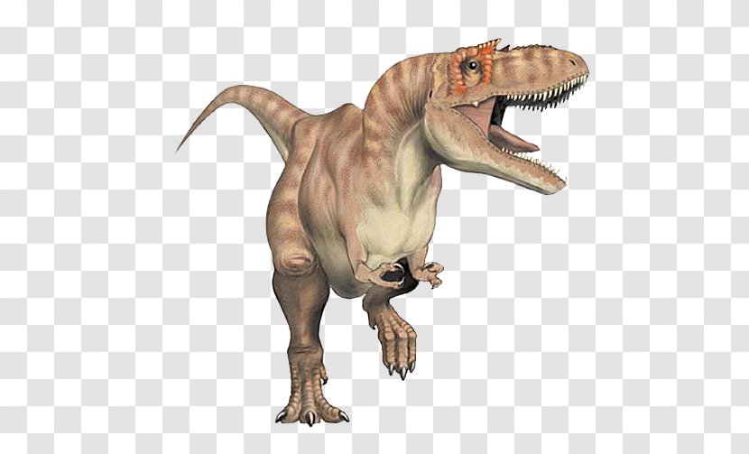 Dinosaur Provincial Park Tyrannosaurus Albertosaurus Allosaurus Gorgosaurus - Apatosaurus - Cute Transparent PNG