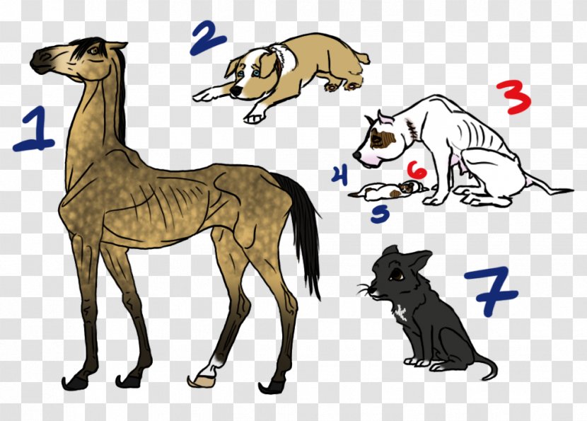 Whippet Horse Cat Clip Art - Tail Transparent PNG