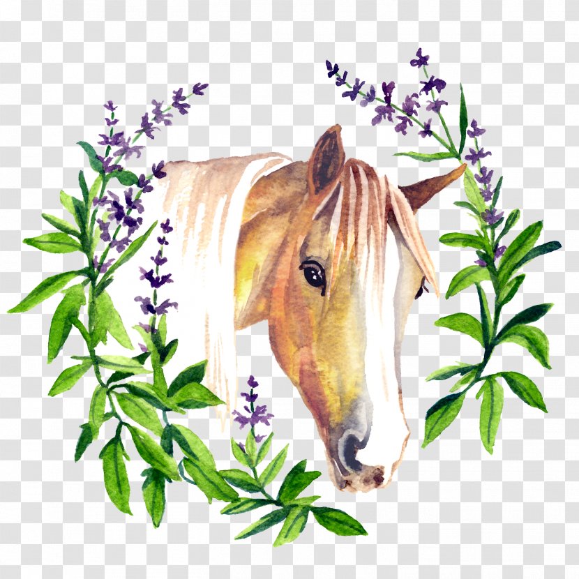 Pony Mustang American Quarter Horse Equine Polysaccharide Storage Myopathy Mane - Tree - Salvia Flower Transparent PNG