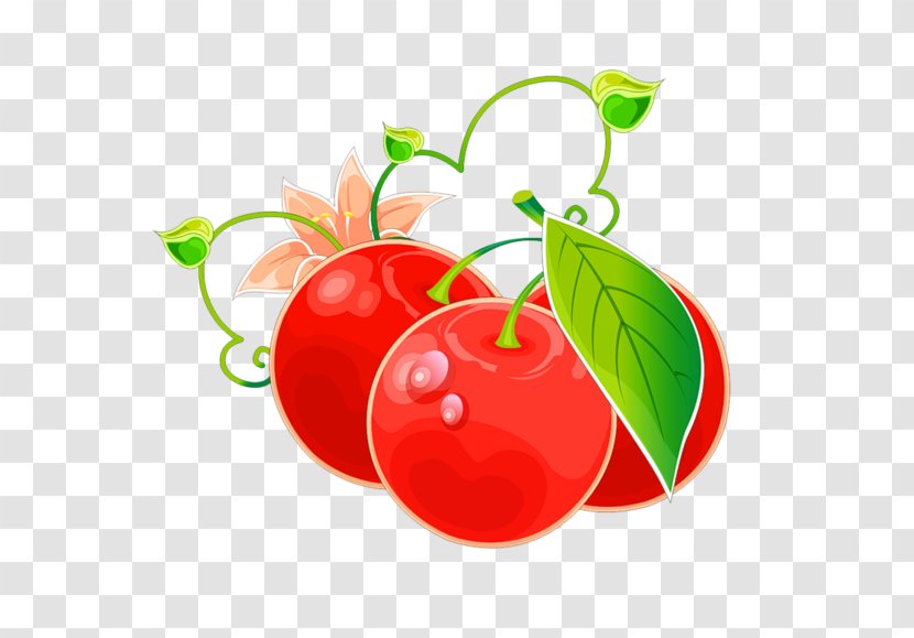 Tomato Barbados Cherry Clip Art Fruit - Auglis Transparent PNG