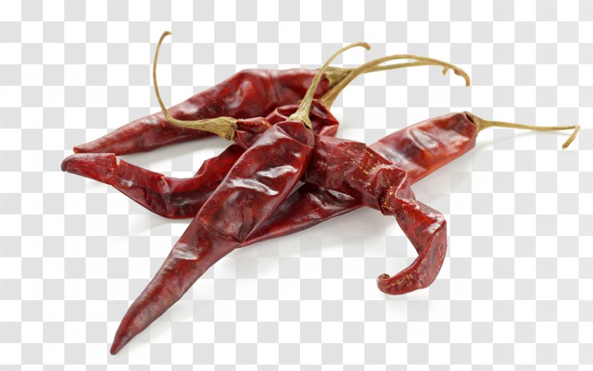 Chile De Xe1rbol Guajillo Chili Pepper Chiles En Nogada Pasilla - Capsicum Annuum - Dark Red HD Photography Picture Transparent PNG